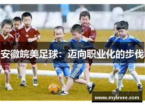 安徽皖美足球：迈向职业化的步伐